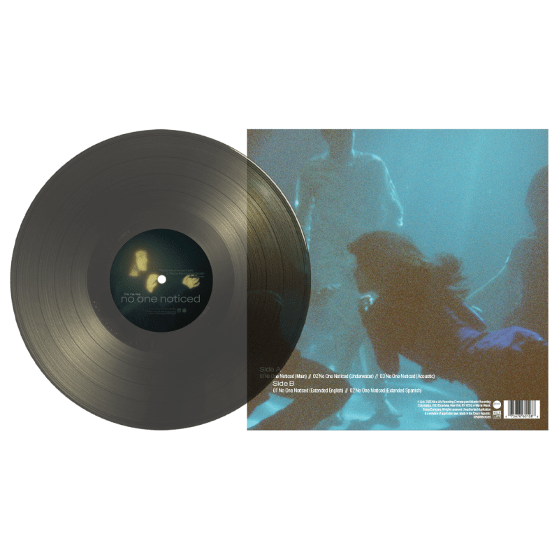 010625 TheMarias NoOneNoticed Vinyl Back 2